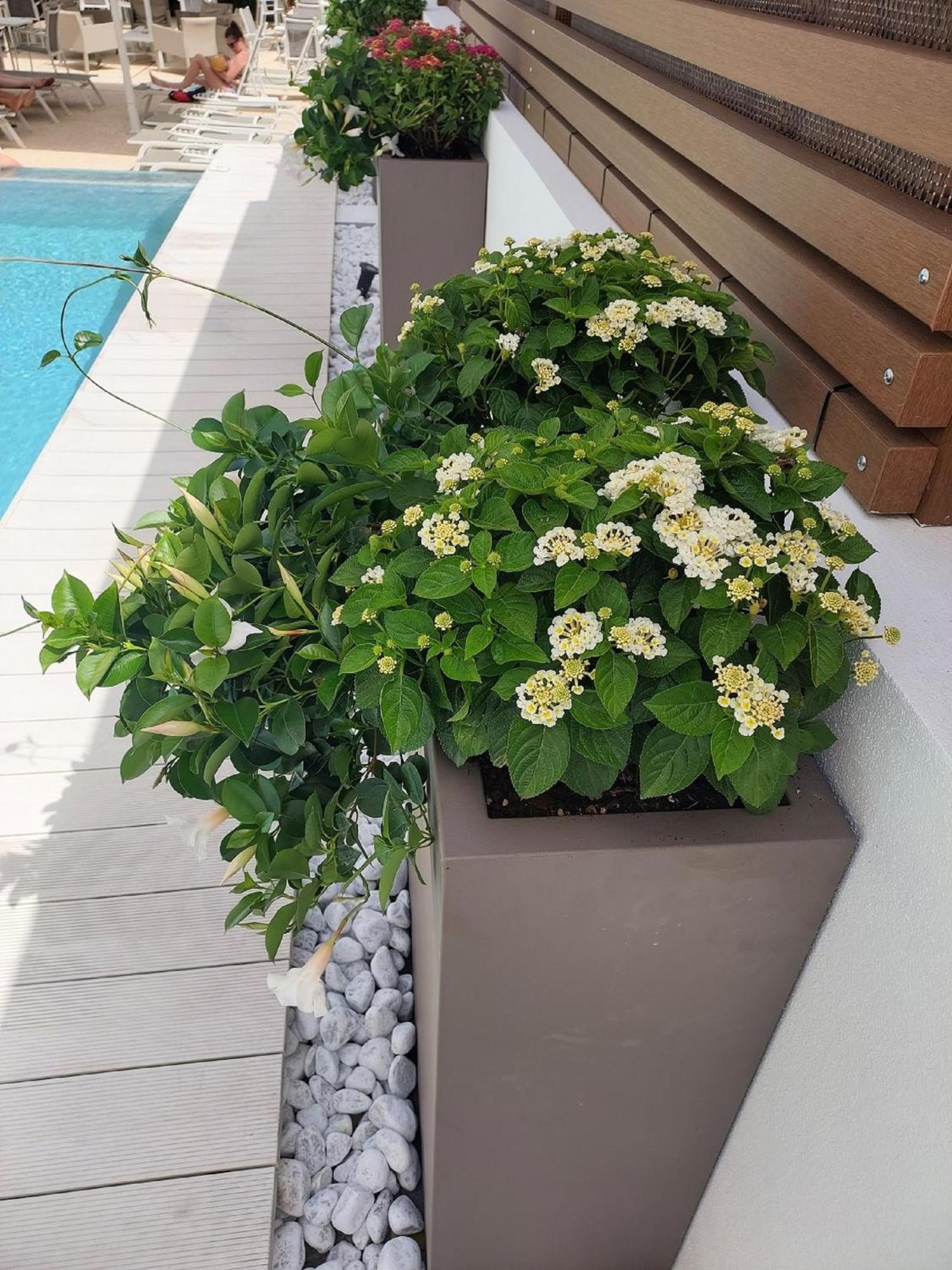 Hotel Nettuno Cala Gonone Exterior photo